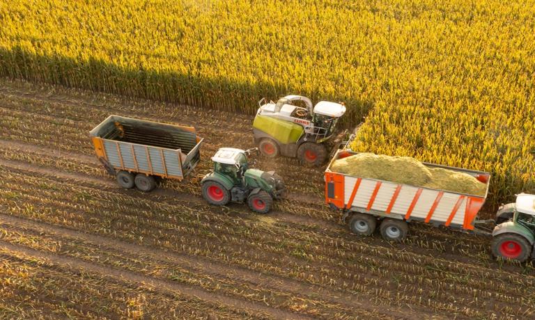Pro farmáře to nejsou dobré zprávy.  „Nízké ceny obilí budou pokračovat“
