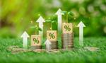 Santander uruchomił nową promocję dla firm. Nawet 3000 zł premii i 800 zł do wydania na Allegro