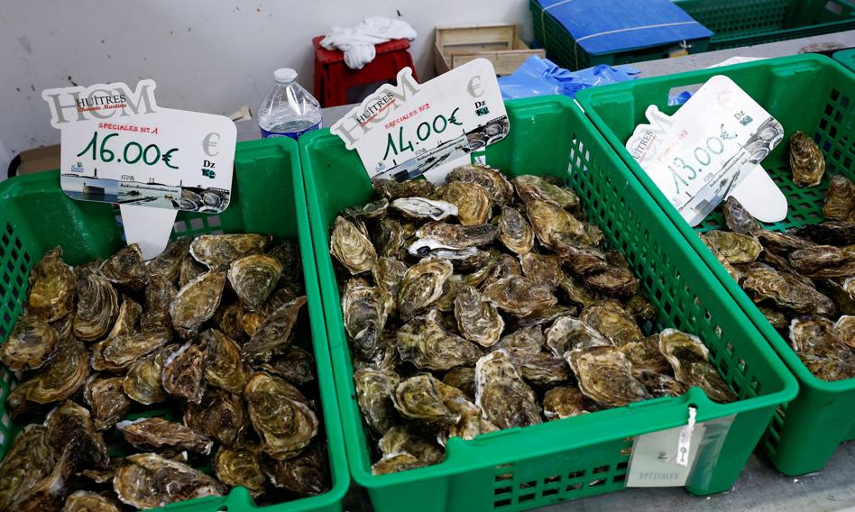 Ostrygowy skandal we Francji. Straty idą w miliony euro, a producenci chcą odszkodowań