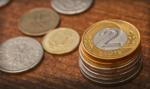 Złoty w przyszłym tygodniu umocni się do dolara, rentowności wzrosną