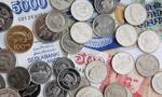 Islandia odbierze bankom władzę nad pieniądzem?