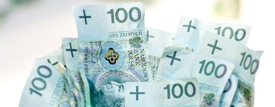 Kredyt z gwarancją de minimis a zwykły kredyt obrotowy