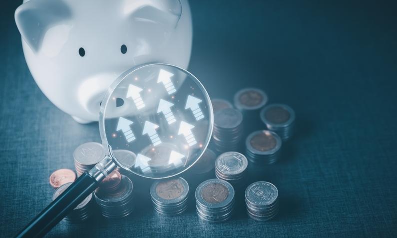 PA Nova chce wypłacić 0,7 zł dywidendy na akcję