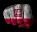  Czy banki w Polsce powinny być w zagranicznych rękach?