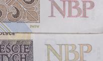 Stopy procentowe zamrożone na rok? Najnowsze prognozy ekonomistów PKO BP
