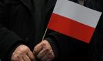 Bezsilne państwo, bezkarni oszuści. Zondacrypto to kolejna historia o Polsce