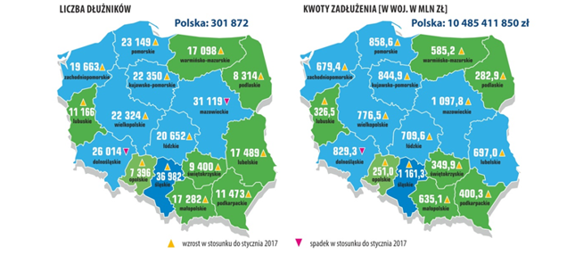 Źródło: Raport - dłużnik alimentacyjny BIG InfoMonitor, maj 2017 r.