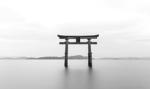Tajfun Delfin uderzył w Japonię. Ponad 50 tys. domów bez prądu