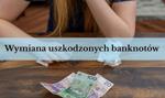 Masz w portfelu podarty banknot? Podpowiadamy, gdzie wymienić uszkodzony banknot na nowy!