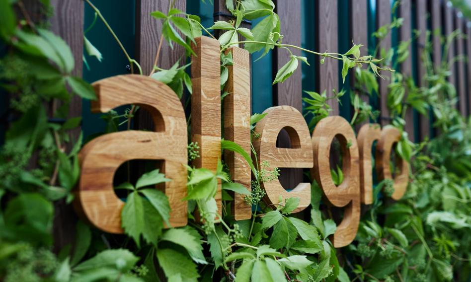 Allegro will sell insurance thumbnail