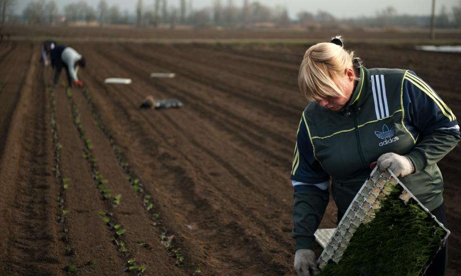 "Tragedia dla wielu rodzin". Umowa z Mercosur dotknie pracowników wielu branż
