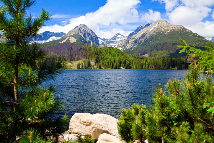 fot. Thinkstock