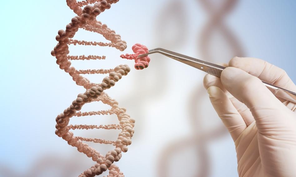 Bankructwo medycznej sp贸艂ki. Badania DNA 15 mln ludzi mog膮 p贸j艣膰 na sprzeda偶