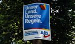 Niemcy przestają bać się skrajnej prawicy. AfD idzie po historyczne zwycięstwo?