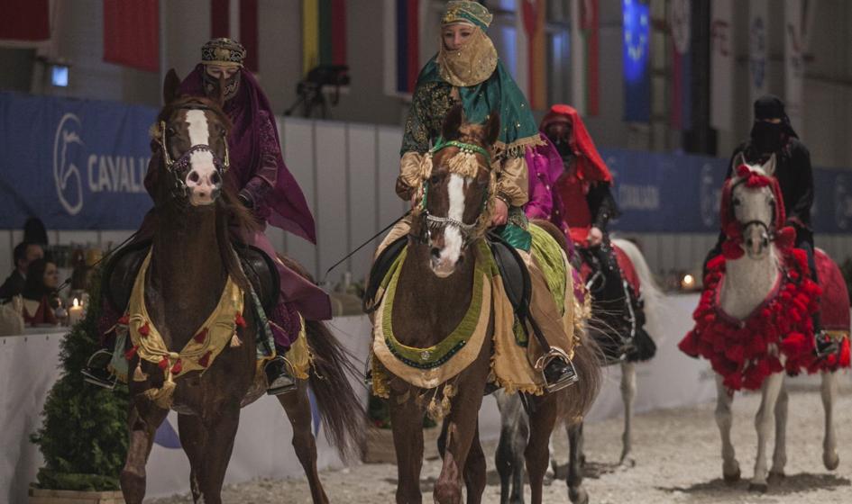 Rzecznik rządu: Dni Konia Arabskiego - we właściwym terminie