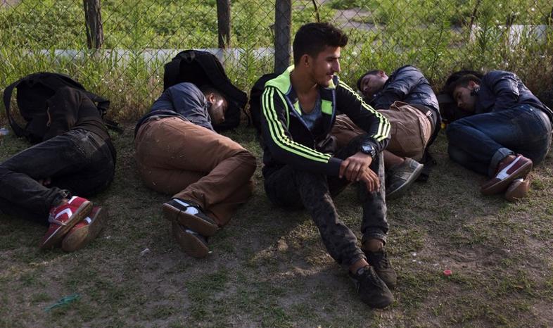 Imigranci pójdą przez Polskę?