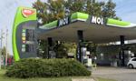 Ceny paliw na środę. Rząd obniża limit dla benzyny, diesel lekko w górę