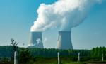 Atomowa polisa. PZU ze specjalną ofertą dla wykonawców elektrowni jądrowej