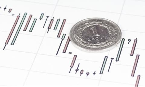 Złoty wstrząśnięty, ale nie zmieszany. Kurs dolara wyhamował na 3,60 zł