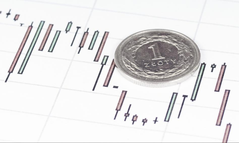 Złoty wstrząśnięty, ale nie zmieszany. Kurs dolara wyhamował na 3,60 zł