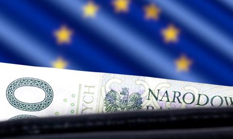 Kurs euro blisko 4,30 zł. Czy to polityka ciąży złotemu?