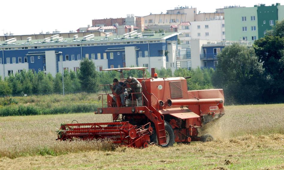 Moda na PRL wraca? Żniwa wielkiej płyty - oczekiwania sprzedających mocno wzrosły