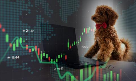 RPP tnie, Orlen podnosi marże, NBP gromadzi złoto. Tydzień na wykresach