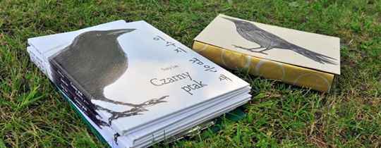 wydawnictwo literatury koreańskiej wydawnictwo literatury koreańskiej