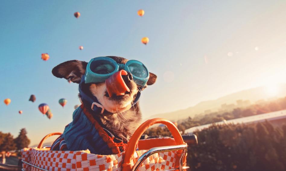 Wyższe oprocentowanie dla oszczędzających na większą kwotę. Wróciła jedna z promocji PKO BP