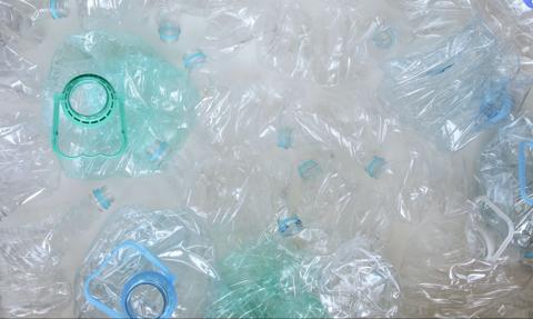 Nowy pomysł na wojnę z plastikiem? Znaleziono robaki, które jedzą tworzywo