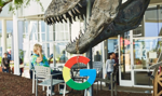 Google tłumaczy na żywo. Nowa funkcja już dostępna