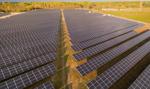 Photon Energy podłączył do sieci w Rumunii kolejne elektrownie fotowoltaiczne