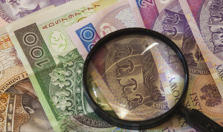 Portret finansowy Polaków 2014