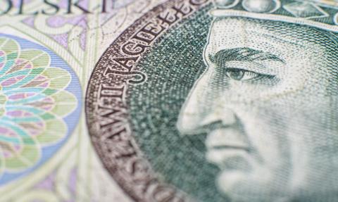 Cięcia na stopach drasnęły złotego. Kurs osłabił się wobec głównych walut