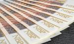 Zielonka (Lewiatan): RPP obni偶y stopy o 50 pb., ale jeszcze nie teraz