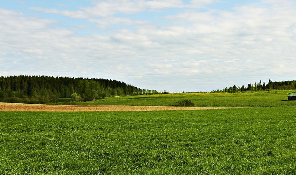 Nowa ustawa o kształtowaniu ustroju rolnego do zmiany