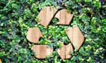 Krynicki Recykling szacuje, że EBITDA grupy w I kw. '22 spadła do 9,7 mln zł