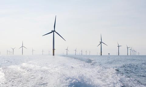 Obligo giełdowe dla OZE. Jego wprowadzenie zahamuje przyrost zielonych mocy