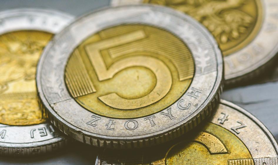 Jednostka Walutowa Zastąpiona Przez Euro Prognoza walutowa: czeka nas rok słabego złotego - Bankier.pl