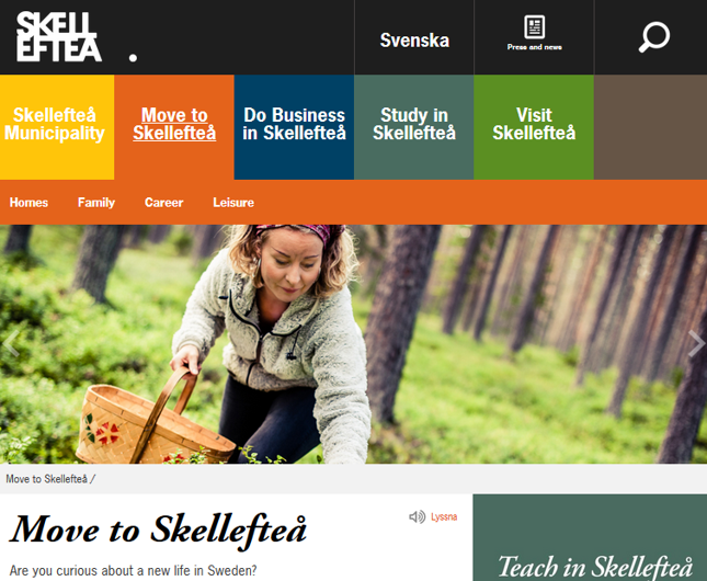 "Przeprowadź się" - bez ogródek zachęcają władze szwedzkiego miasteczka Skellefteå