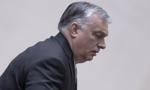 Oficjalnie oszczędności z żoną, w tle "węgierski Wersal". Orban pod lupą
