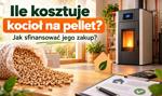 Ile kosztuje kocioł na pellet? Jak sfinansować taki zakup?