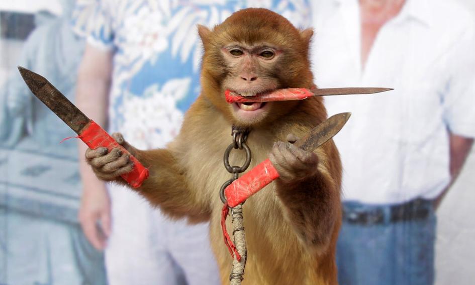 Czy na GPW warto łapać spadające noże?