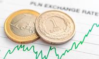 Złoty zareagował na dane o inflacji. Euro najdroższe od dwóch tygodni
