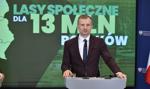 Batalia o Lasy Państwowe. Mikołaj Dorożała uderza w PSL: „To byłoby katastrofalne”