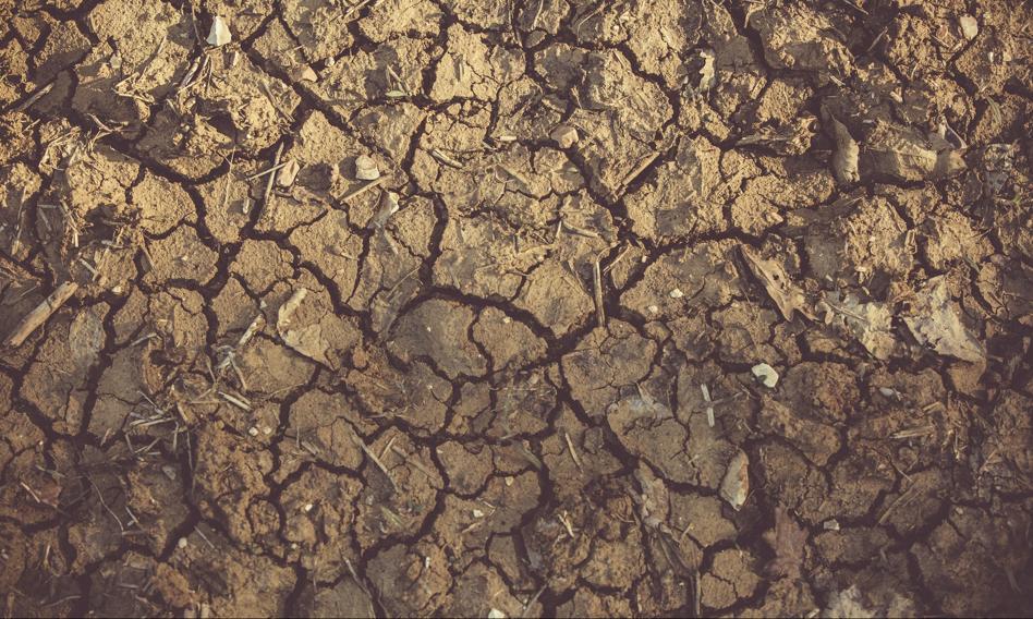 President of Polish Waters on Drought: Rational Water Management is Necessary