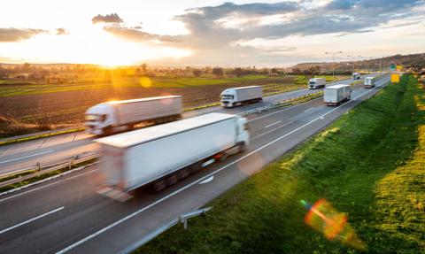 Branża transportowa w kryzysie. Ponad połowa polskich przewoźników chce ciąć zatrudnienie, apelują o wsparcie