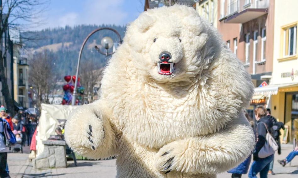 Zakopane poczeka na swojego Białego Misia. Maskotka nie będzie jednak &quot;Made in Podhale&quot;