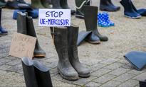 Szach mat Mercosurze? Polska uderza w umowę rozporządzeniem o pestycydach