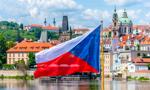 7 kg łota ukrytego w lesie. Tajemniczy skarb wystawiony w czeskim muzeum
